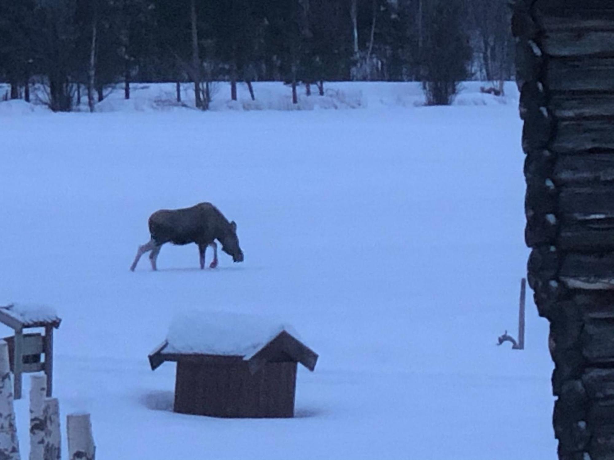 Villa Galde Uppigard Boverdalen Esterno foto